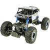 RC Cross-country Coimb 4x4 Two Motors Car