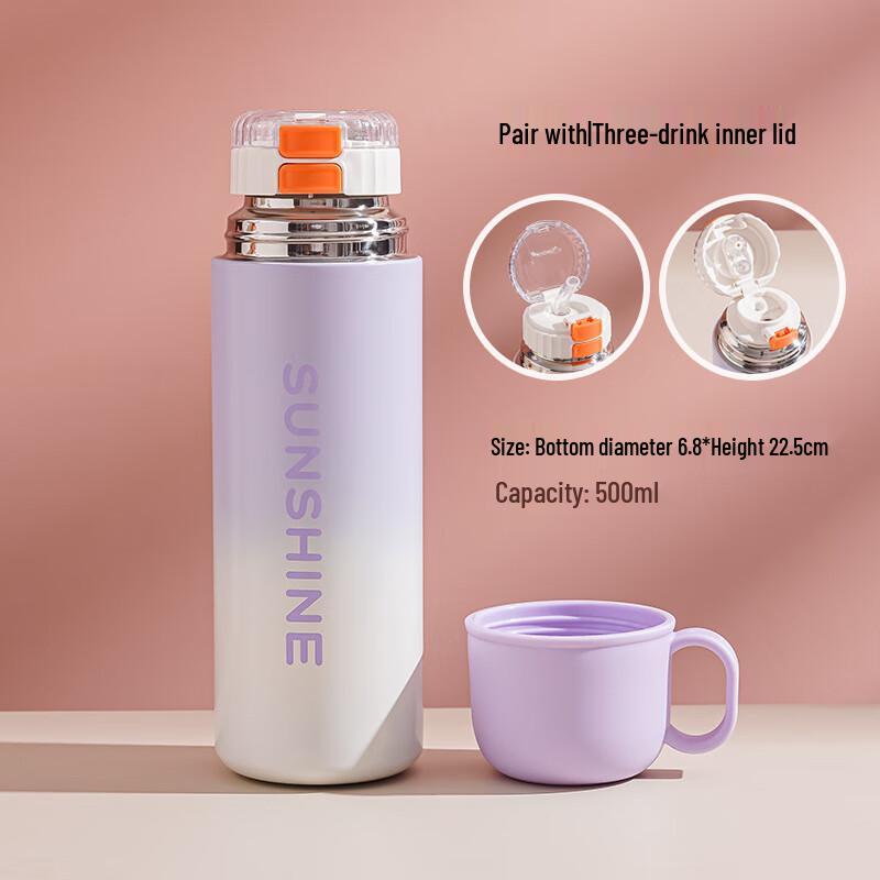 Chic 316 Stainless Steel Insulated Tea Bottle