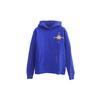 Sweatshirts Men's Blue Hooded Moderate Regular CW1121-495