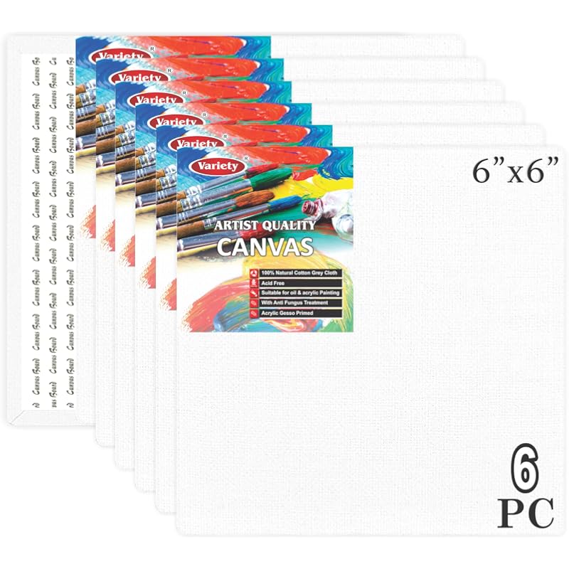 Variety Canvas 6X6 Artist Board Pack Of 6, White Color