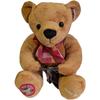Plush Teddy Bear with Colorful Recording Talking Perfect Gift for 767180 Q-FLA Message, Function, Bear, Fluffy, Celebrations,