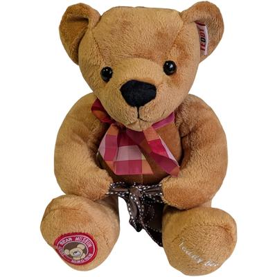 Plüsch-Teddybär mit farbenfroher Aufnahme Sprechend Perfektes Geschenk für 767180 Q-FLA Nachricht, Funktion, Bär, Flauschig, Feiern,