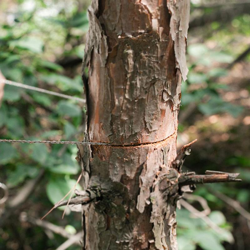 Drahtsäge Langlebig Leicht Notfall-Überlebenssäge Taschensäge Mit Drehbar