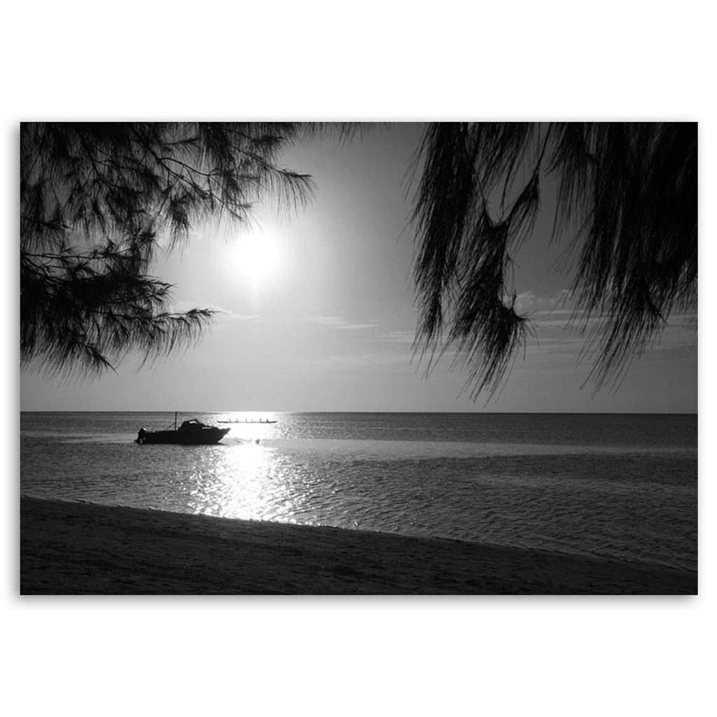 Canvas Print, Tropical Beach Black and White
