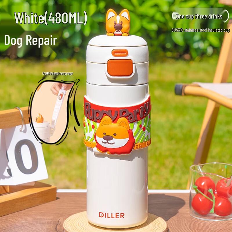 

Diller 316L Stainless Steel 480ML Double-Drink Insulated Cup with Straw