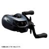 Daiwa Baitcasting Reel 25IM Z TW (DAIWA) 100-C
