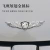 For MG Car Trophy GS TF ZR ZS ES HS Morris ONE GT 3SW MARVEL EZS MG6 MG3 MG4 MG5 MG7 Front hood Emblem Eagle wing Badge Stickers bso1
