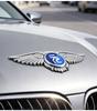 BYD Yuan Pro New Energy PLUS EV Front Emblem Hood Wings Sticker