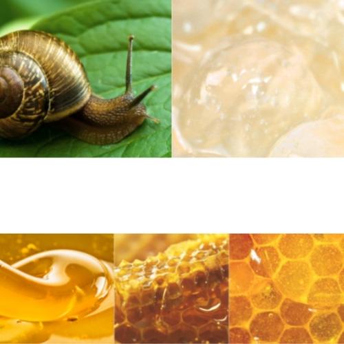 THE SAEM Snail Essential EX Wrinkle Solution Eye Cream 31ml