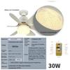 30W/40W E27 Modern LED Lighting Smart Ceiling Fan Light with Remote Control 3-Gear Household 2-in-1 Adjustable Fan Lamp