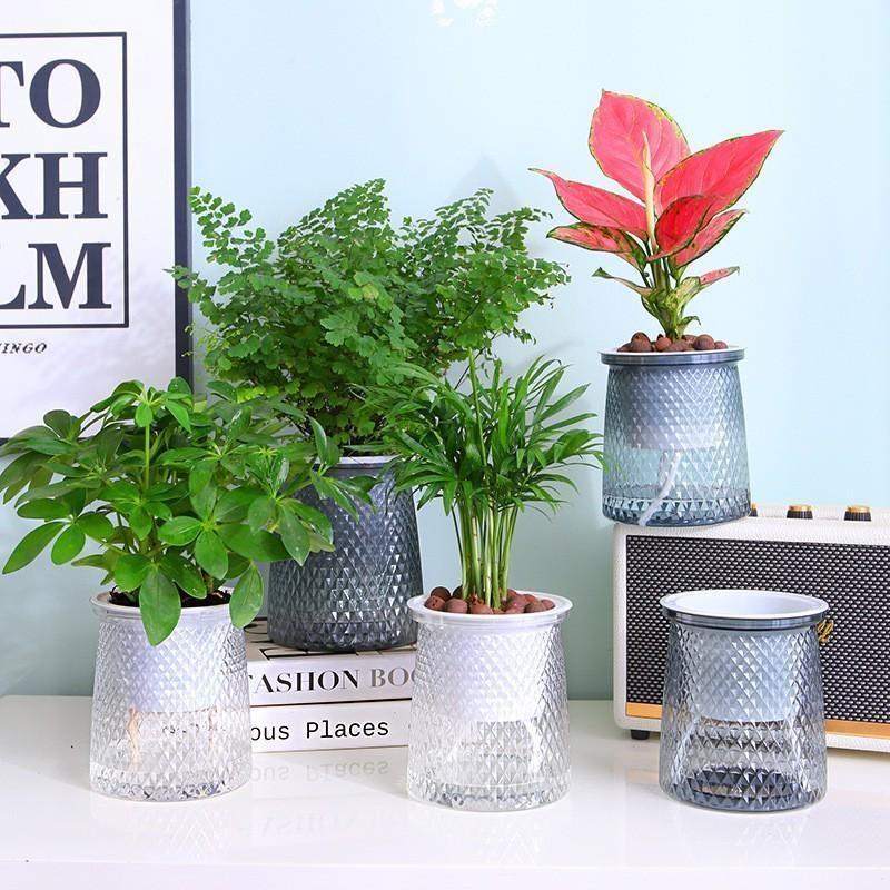 2024 Vaso da fiori trasparente autoirrigante in plastica, vaso per piante a doppio strato automatico pigro, vaso idroponico per fiori per la decorazione della casa