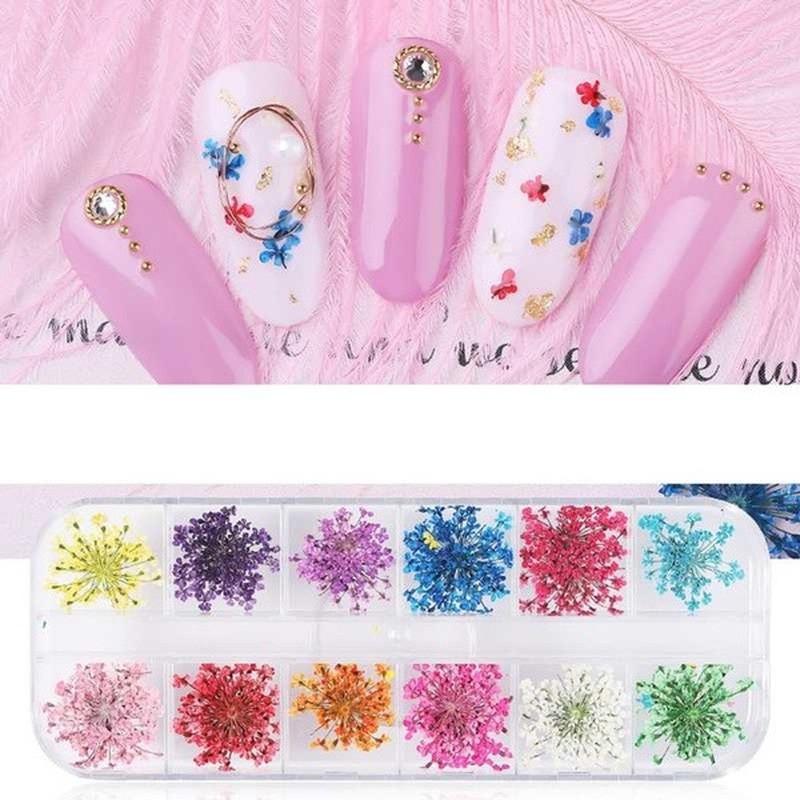 1Box Dried Flowers Dry Plants for Rsein Molds Fillings Epoxy Resin Pendant Tweezers Jewelry Making Craft DIY Nail Art Decoration