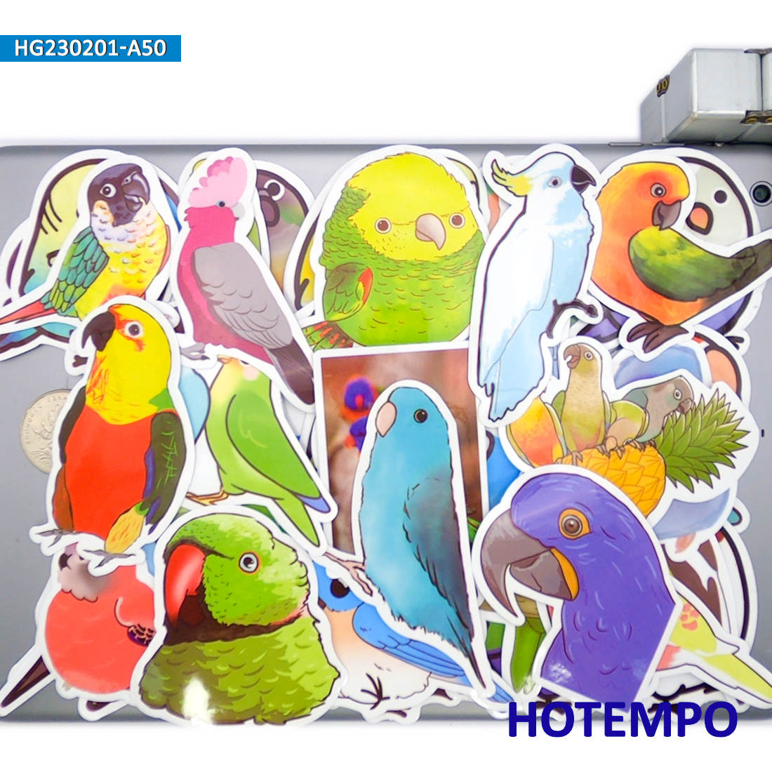203050 Stuks Kleurrijke Papegaai Stickers Leuke Vogel Grappige Cartoon Dieren Decals Voor Laptop Telefoon Motorfiets Auto Fiets Bagage Sticker