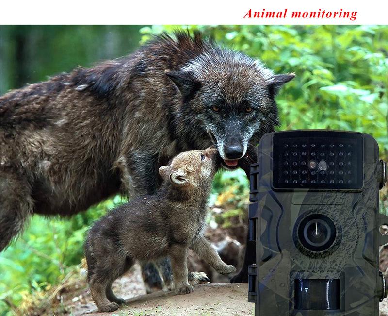 Cross-border HD Wildlife Camera: Outdoor Anti-Hunting, Night Vision, Cold-Resistant Security Camcorder