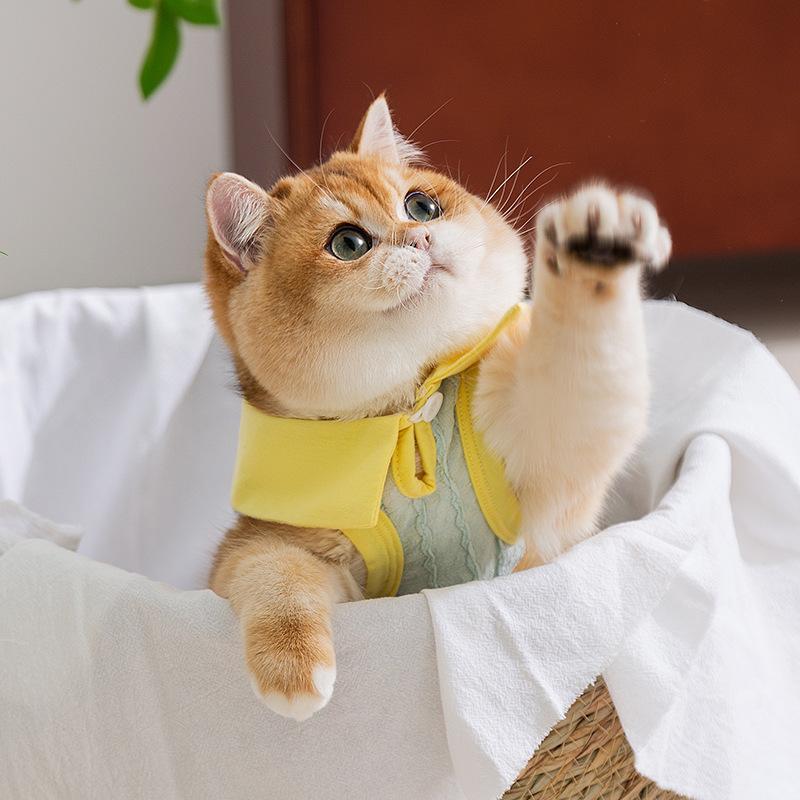 Spring and Summer Cat Thin Breathable Puppy Puppy Puppy Muppet Vest Teddy Puppy Dog Suspender Pet Cat Clothes