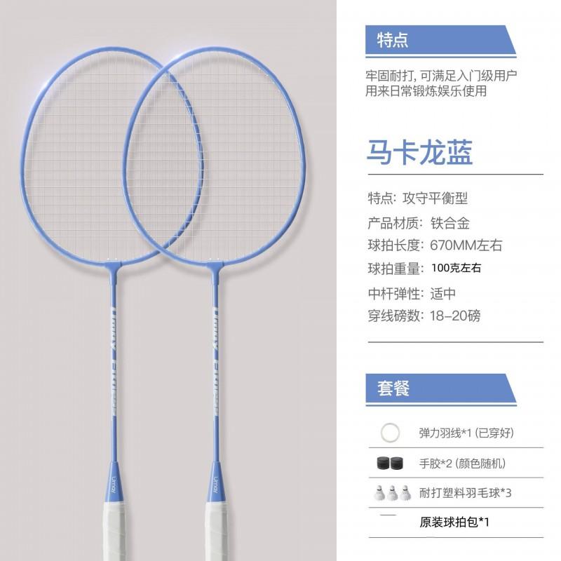 Badminton Rackets Set Lightweight Durable Beginners Adults Students