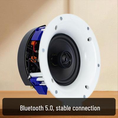 Smart Bluetooth Ceiling Speaker System for Whole House Music Control