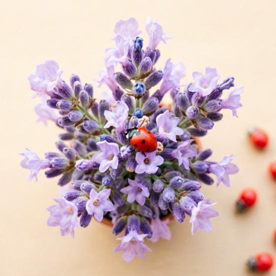 10 Pcs Miniature Ladybug Figurines Tiny Ladybug Animals Statue for Fairy Garden Micro Landscape Decor Cake Topper