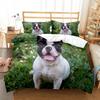 French Bulldog Duvet Cover Set Cute Dog Polyester Comforter Cover Twin Full Size For Kids Teens Adults Bedroom Decor Bedding Set