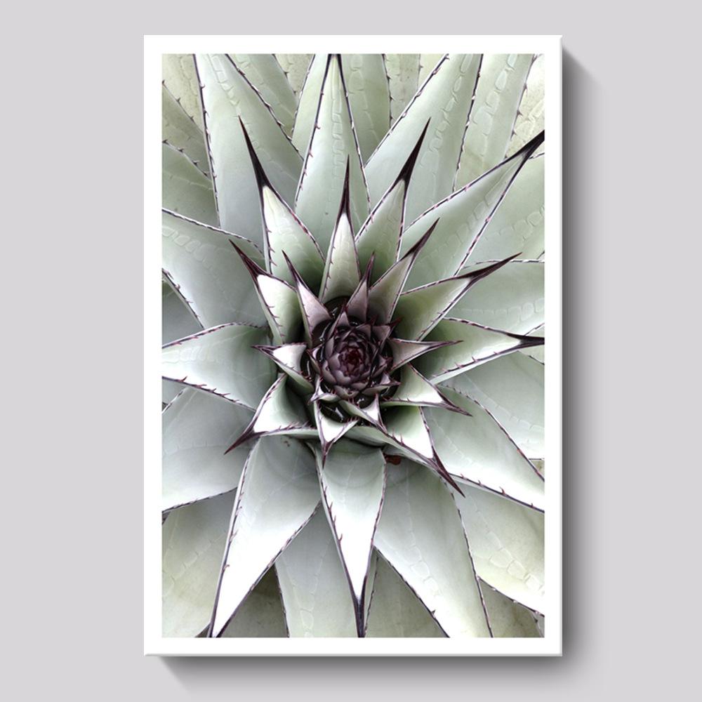 Frische Sukkulente Grüne Pflanze Esszimmer Dekoration Leinwandgemälde Modern Pflanze Hotel Heimdekoration Hängende Wandkunst Paris