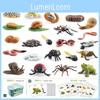 Realistic Animal Growth Cycle Storage Box Set With Mosquito Spider Ladybug Frog Worm Snail Models In Pink And Blue