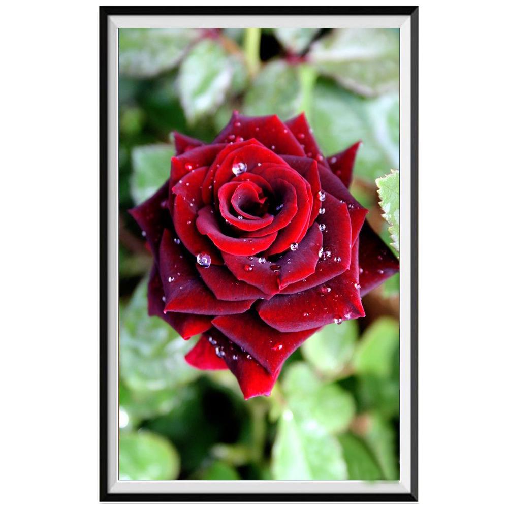 Voller Kreis Diamant Malerei Rosengarten 5D Diy Diamant Malerei Kreuzstich Tier Diamant Stickerei Mosaik Home Dekoration