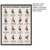 Chair Exercise Poster Seated Workout Chart Gentle Chair Yoga Movements Low Impact Exercise Guide for Seniors Beginners