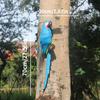 Golden Macaw Pendant Garden Sculpture - Resin Bird Home Décor