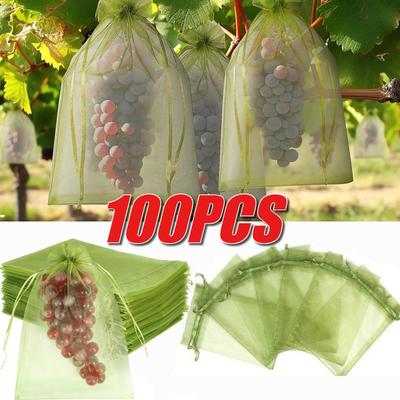 Fruit Protection Bag Plant Growth Bag Vegetable and Fruit Insect Proof Bag Strawberry and Grape Bird Proof Bags