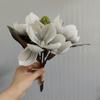 Real Touch Artificial Magnolia EVA Fake Orchid Lifelike Simulated Flowers  Gift