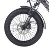 Electric Cargo Bicycle Fafrees 20" F20 Mate 250W Motor Foldable E-Bike Top Speed 25km/h LCD Display 48V 20Ah Dual Hydraulic Brake Max Load 180Kg