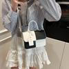 Spring fashion trend high-end sense light luxury shoulder messenger bag contrasting color design sense beautiful temperament handbag women's bag