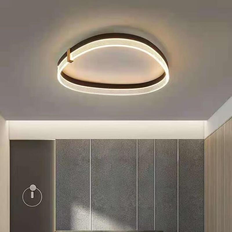OEING Round LED Ceiling Light