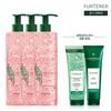 Rene Furterer Shampoo Trio Set  +fortiShampoo 250ml   Mask 150ml Gift 