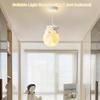 Bear Moon Pendant Lamp 3D Moon Pendent Light Ceiling Hanging Lamp for Bedroom Children Room