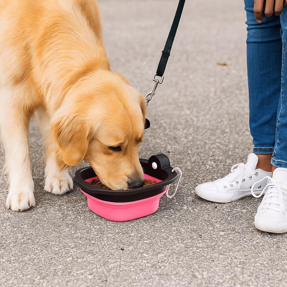 Portable Collapsible Dog Water Bowl Lightweight Pet Food Water Feeding Tray  Outdoor