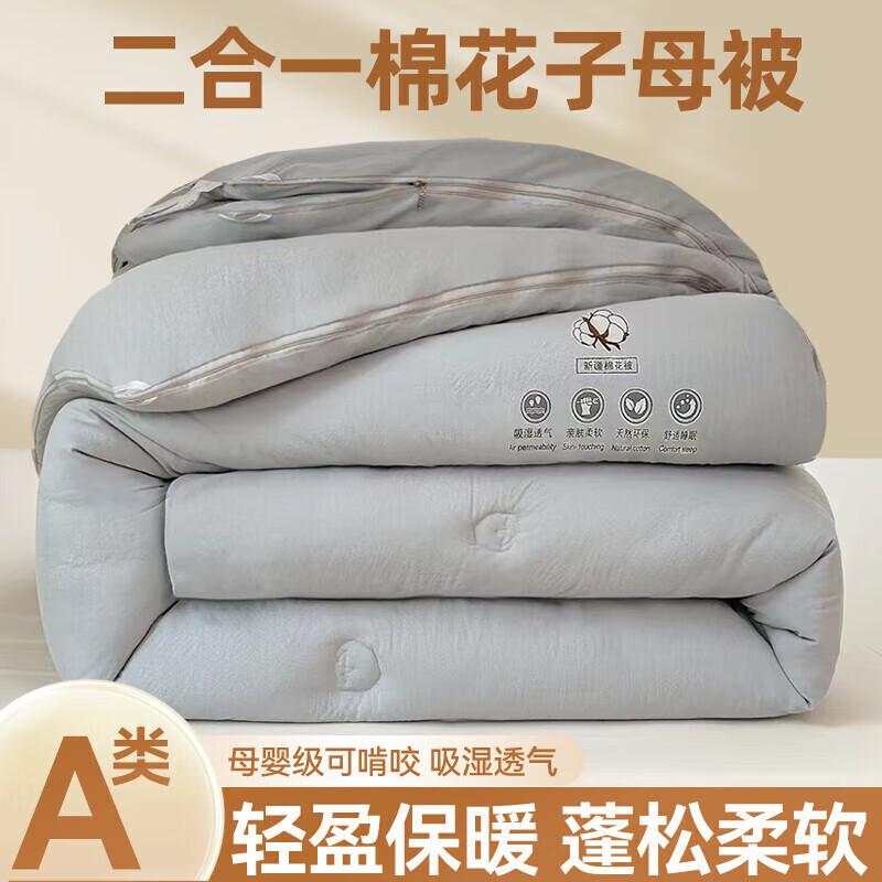 DZQ Thickened Warm 2-in-1 Winter Duvet