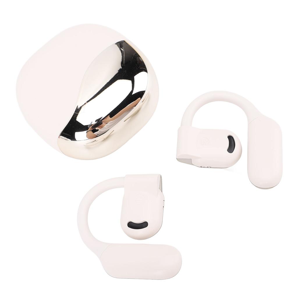 Translation Earbuds Earhook Active Noise Reduction Wireless   AI Language Translator Earbuds