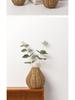 Handgefertigte Vase im Rattan-Stil: Elegantes und kreatives Ornament für Heim-Blumenarrangements
