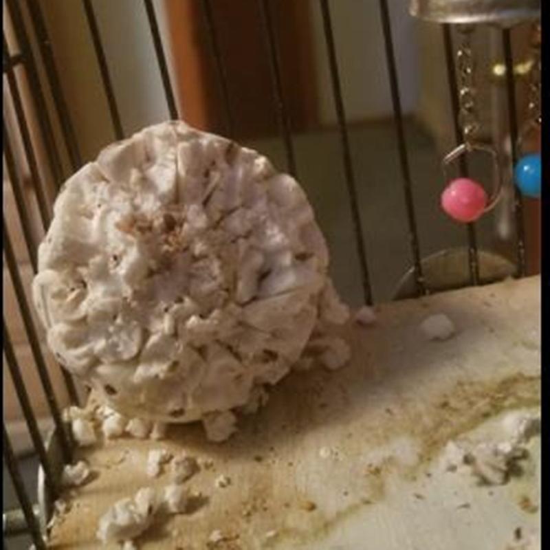 3Pcs Bird Shreddable Sola Balls Parrot Foraging Toy Natural Material for Cockatoo African for Grey Macaw