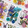 Pressed flower and dried flower craft kit, facial decoration for eye corner photo props, DIY resin photo frame with petals