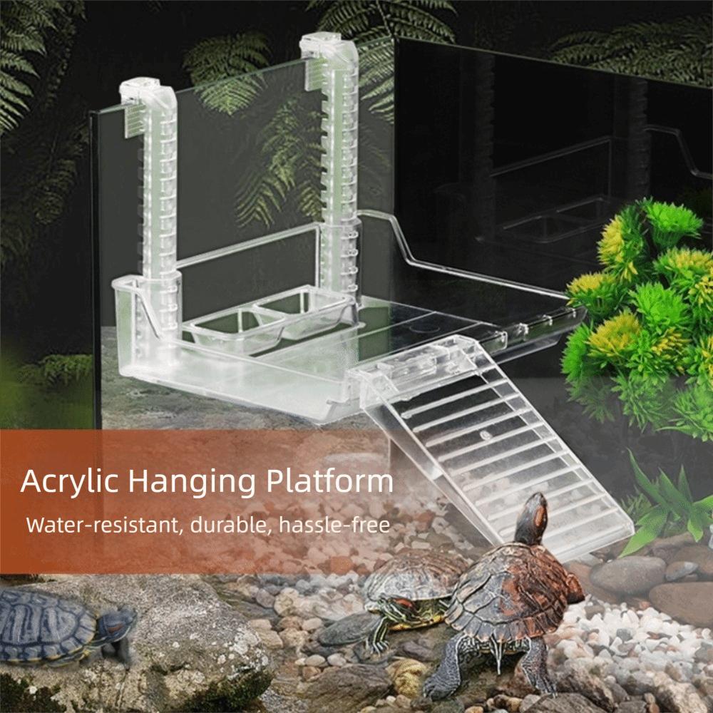 Climbing Ladder Reptile Basking Platform Hanging Turtle Resting Terrace  Tortoise Enclosures