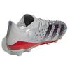Adidas Predator Freak .1 Round Toe Lace-Up AG (Rubber Short Studs) Durable Soccer Shoes Men Soccer Shoes Silver Black Q46410