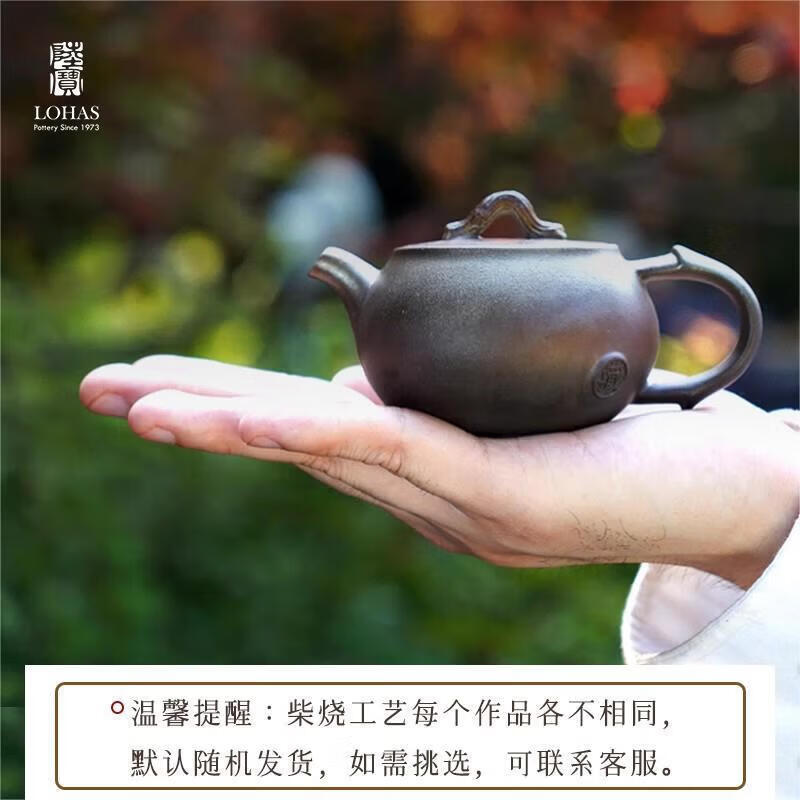 Lu Bao Ceramic Wood-Fired Kung Fu Teapot