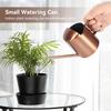 Small Watering Can, 10oz/300ml Stainless Steel Water Can for Indoor Plants Small Long Spout Watering Pot for House Plants, Succulents and Bonsai