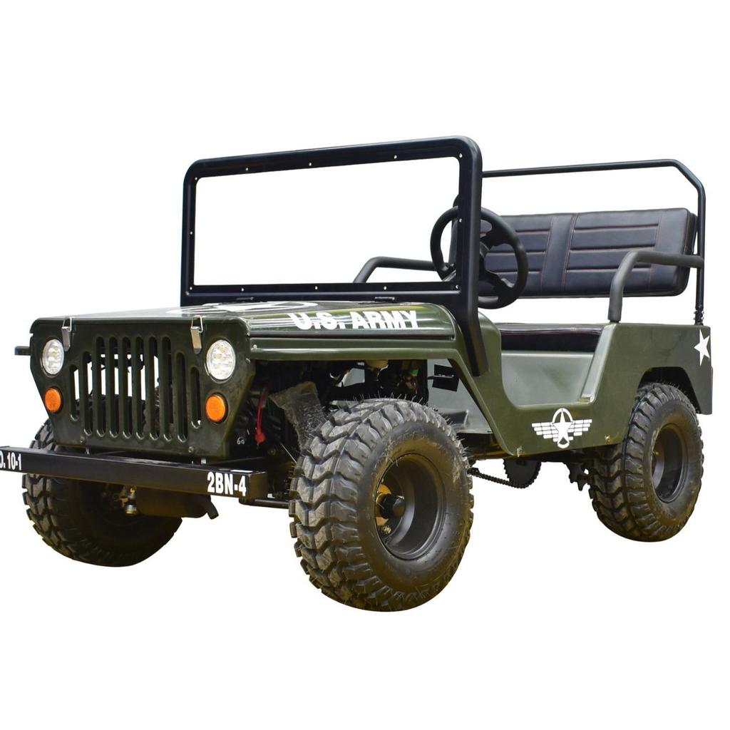 800W/1200W Electric Mini All-Terrain Children's UTV/ATV