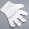 Disposable Transparent PE Medical Examination Gloves for Household, Catering, Beauty, and Hairdressing