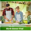 Herb Storage Box With Moisturizing Base And Ventilation Function Bpa-Free Plastic Suitable For Refrigerator Kitchen Gadgets