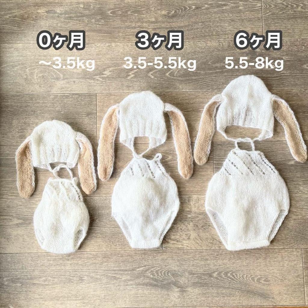 Bunny Ear Hat and Knitted Overalls for Newborn and Monthly Photoshoots [NANA's Shop] Photoshoots, Bonnet, (Gray)