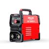 Delixi ZX7-250 220V Inverter Welding Machine